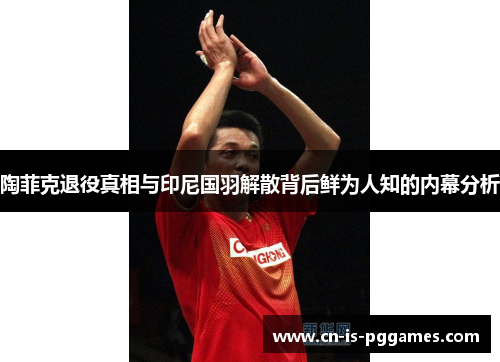陶菲克退役真相与印尼国羽解散背后鲜为人知的内幕分析