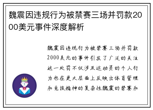 魏震因违规行为被禁赛三场并罚款2000美元事件深度解析