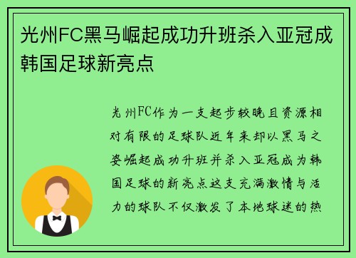 光州FC黑马崛起成功升班杀入亚冠成韩国足球新亮点