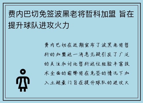 费内巴切免签波黑老将哲科加盟 旨在提升球队进攻火力